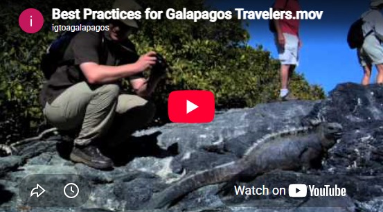 Best Practices for IGTOA Travelers