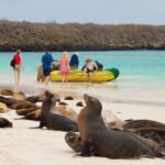 Galapagos Seaman Journey