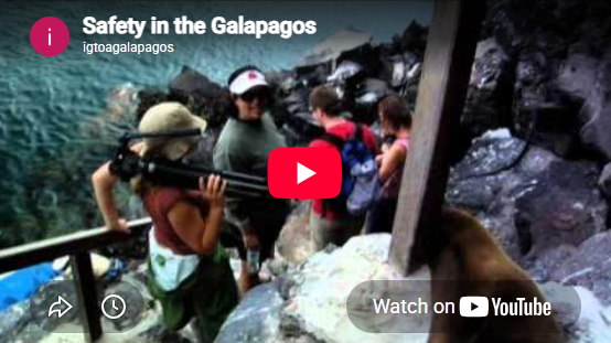 Safety in the Galapagos